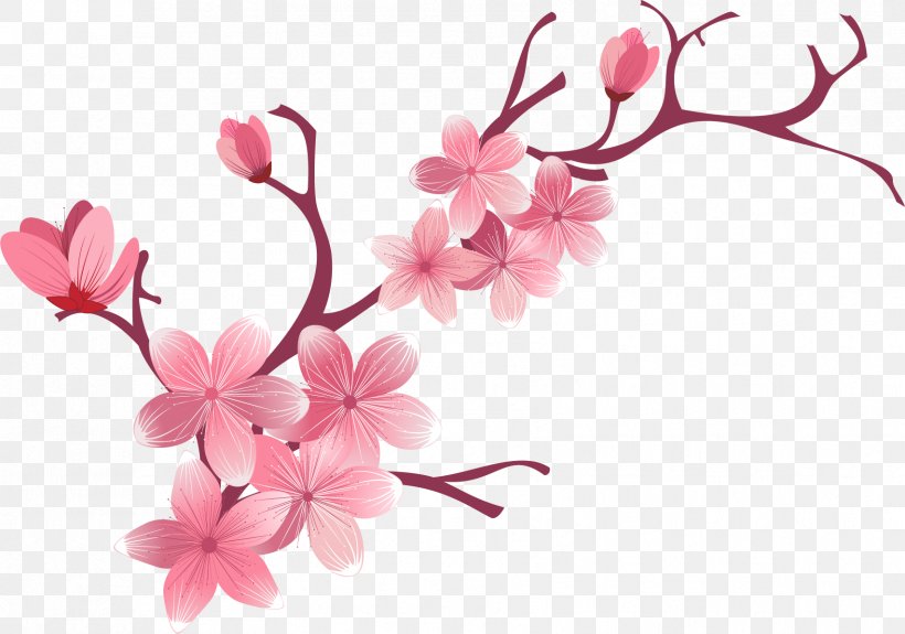 Cherry Blossom Flower, PNG, 1706x1198px, Cherry Blossom, Azalea, Blossom, Branch, Cerasus Download Free