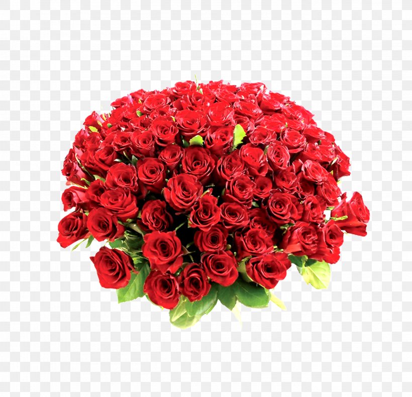 .de Red Clip Art, PNG, 2753x2653px, Red, Annual Plant, Artificial Flower, Carnation, Chrysanths Download Free