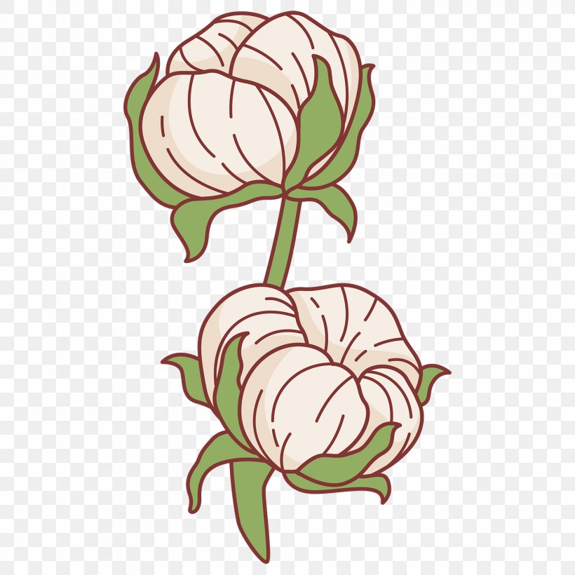 Floral Design Cotton Vector Graphics Image, PNG, 1500x1500px, Floral Design, Art, Artwork, Cartoon, Cotton Download Free