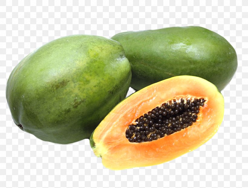 Papaya Fruit Tree Pawpaw, PNG, 1024x779px, Papaya, Food, Fruit, Fruit Tree, Gourd Download Free