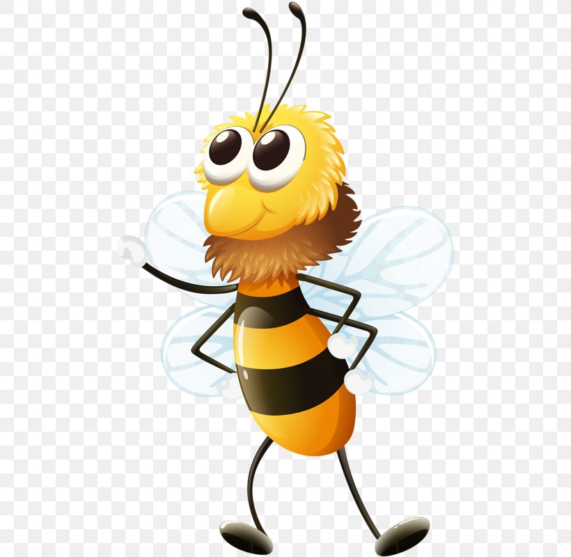 Bee Hornet Vector Graphics Clip Art Drawing, PNG, 485x800px, Bee, Art, Arthropod, Beak, Bumblebee Download Free