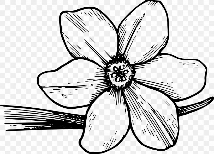 Flower Paper Coloring Book Clip Art, PNG, 2400x1731px, Flower, Adult, Artwork, Black And White, Bud Download Free