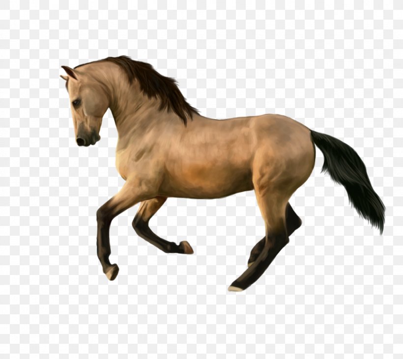 Mane Mustang Stallion Mare Pony, PNG, 1024x914px, Mane, Animal Figure, Bay, Bit, Bridle Download Free