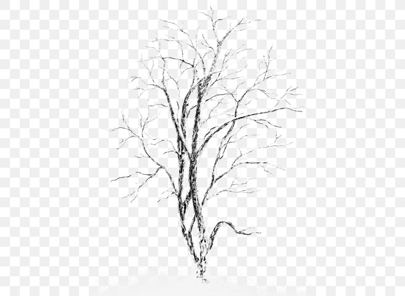 Silver Birch Tree Clip Art, PNG, 450x600px, Silver Birch, Artwork, Birch, Black And White, Branch Download Free