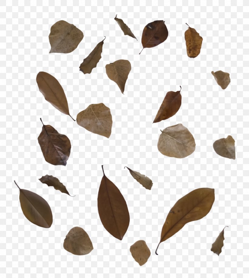 Autumn Leaf Color Clip Art, PNG, 1024x1143px, Leaf, Animation, Autumn, Autumn Leaf Color, Drawing Download Free