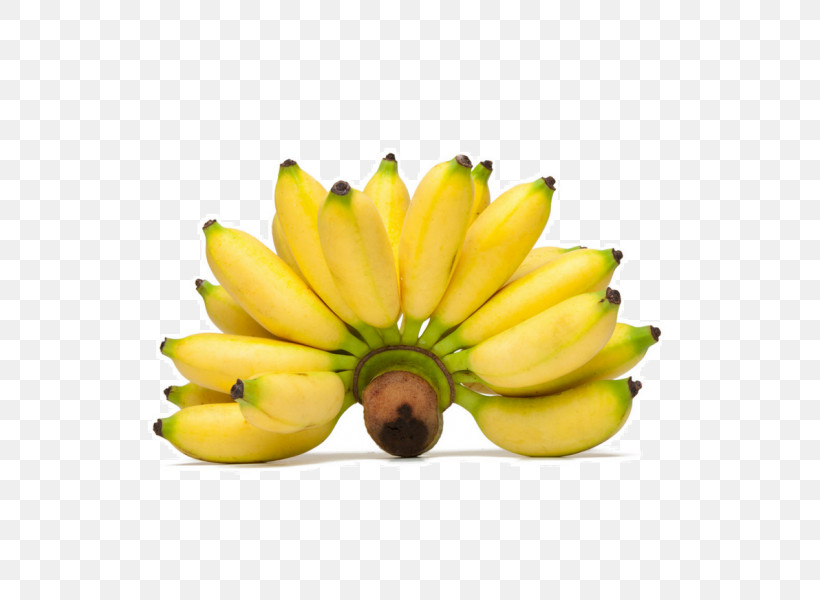 Banana Family Banana Yellow Fruit Plant, PNG, 600x600px, Banana Family, Banana, Cooking Plantain, Flower, Food Download Free