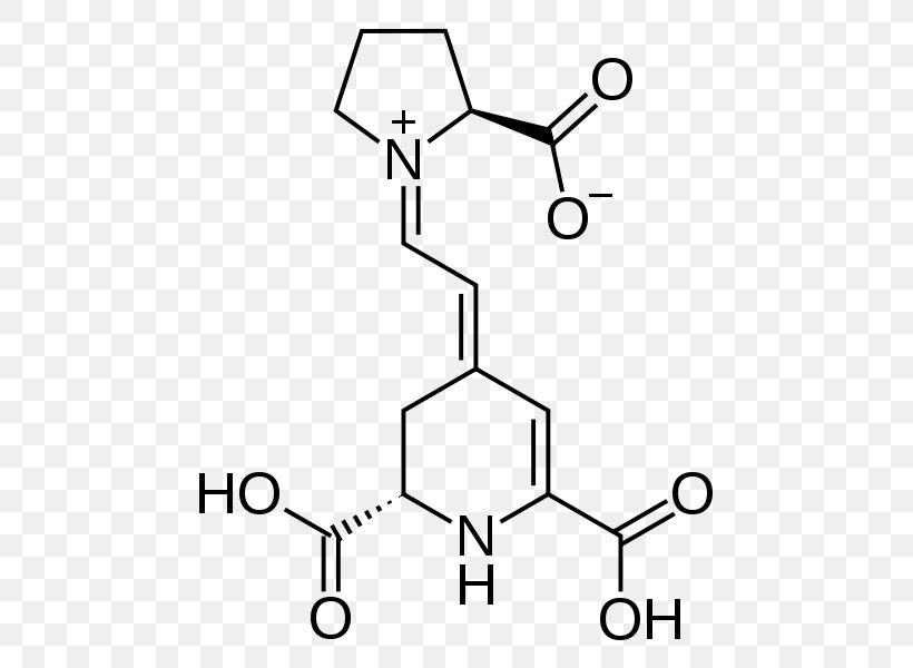 Essential Amino Acid Amine Aspartic Acid, PNG, 513x600px, Amino Acid, Acid, Acyl Chloride, Alanine, Amine Download Free