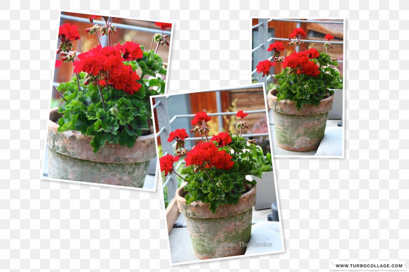 Floral Design Flowerpot Cut Flowers Houseplant, PNG, 1080x720px, Floral Design, Annual Plant, Cut Flowers, Flora, Floristry Download Free