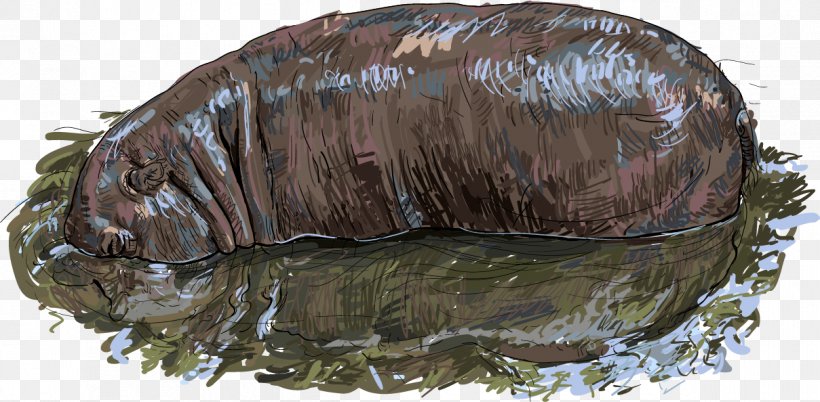 Hippopotamus Stock Photography Royalty-free Illustration, PNG, 1209x594px, Hippopotamus, Cyperus Imbricatus, Drawing, Istock, Photography Download Free