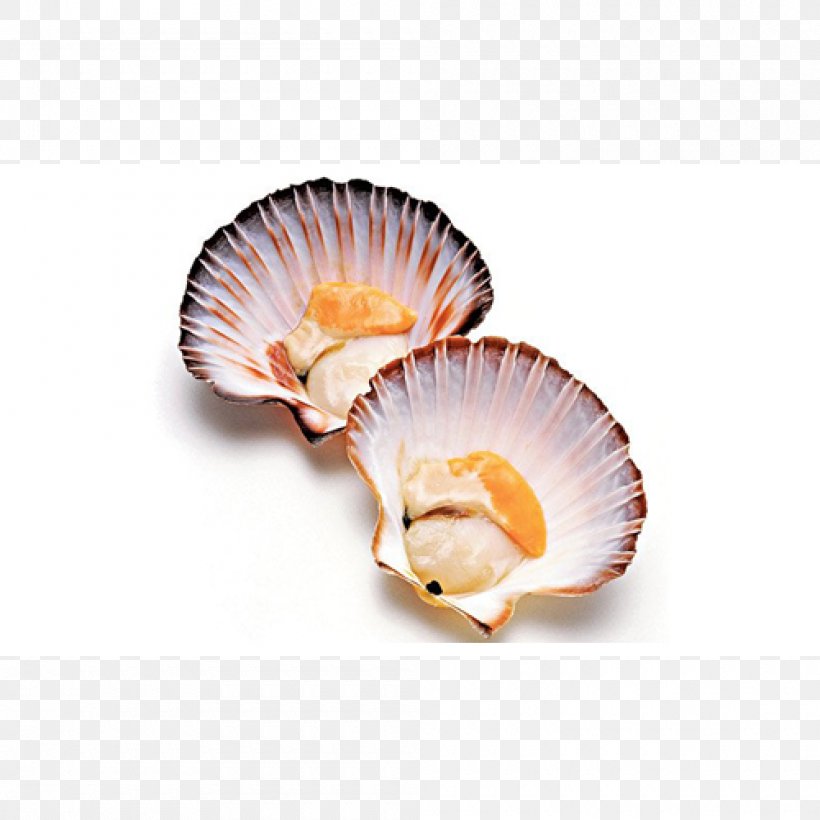 Pectinidae Pecten Jacobaeus Recipe Dish Seafood, PNG, 1000x1000px, Pectinidae, Animal Source Foods, Clam, Clams Oysters Mussels And Scallops, Cockle Download Free