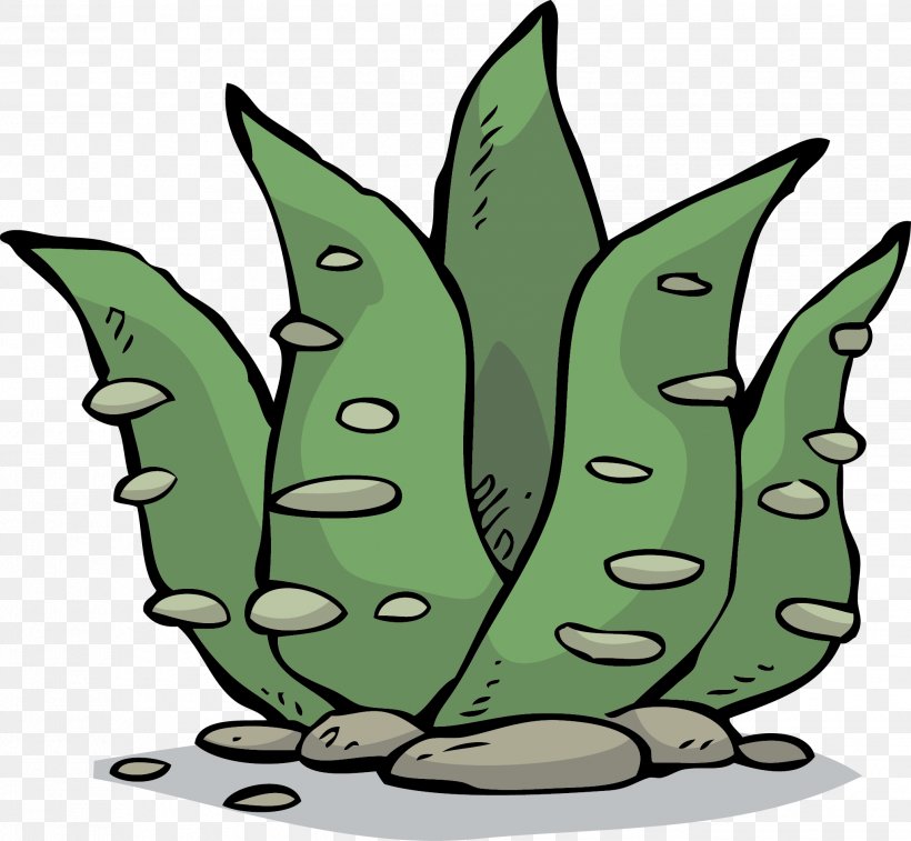 Aloe Vera Stock Photography Euclidean Vector, PNG, 2037x1881px, Aloe Vera, Cactaceae, Fictional Character, Flowering Plant, Food Download Free