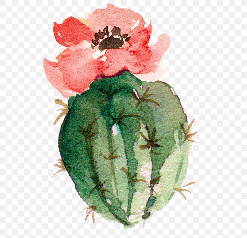 Cactaceae Watercolor Painting Paper, PNG, 552x790px, Cactaceae, Anthesis, Art, Creative Arts, Flower Download Free