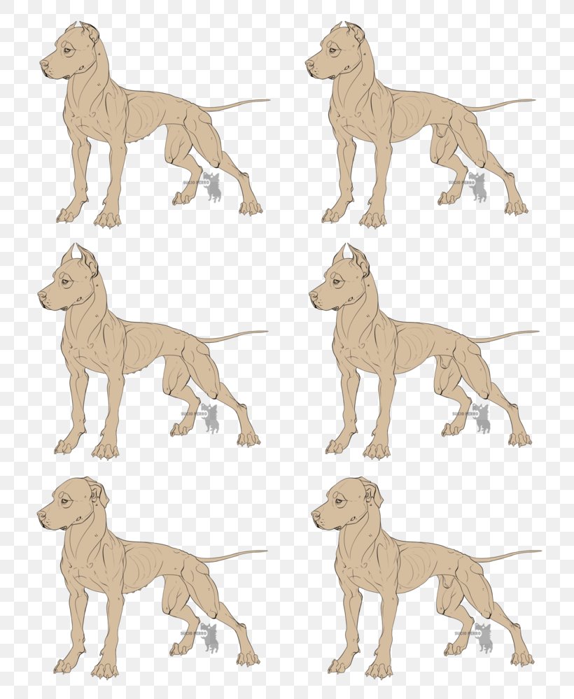 Dog Breed Italian Greyhound Whippet Sloughi Spanish Greyhound, PNG, 800x999px, Dog Breed, American Pit Bull Terrier, Animal Figure, Art, Big Cats Download Free