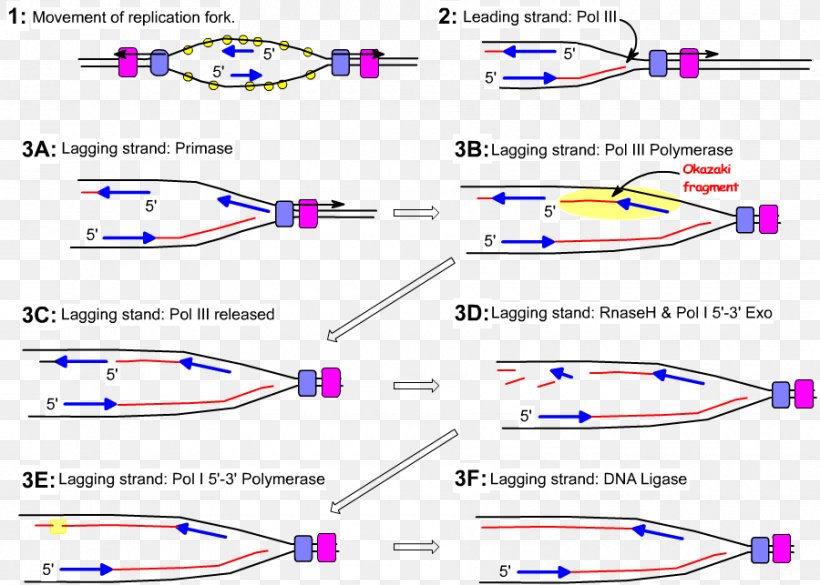 Line Point Angle Technology, PNG, 900x643px, Point, Area, Diagram, Parallel, Plot Download Free