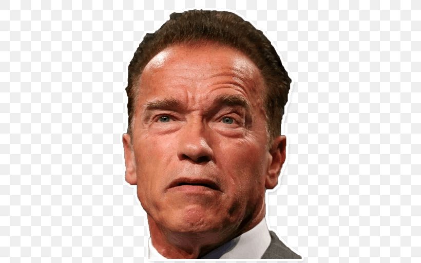 Arnold Schwarzenegger Actor 1970 Mr. Olympia The Terminator, PNG, 512x512px, Arnold Schwarzenegger, Actor, Bodybuilding, Celebrity, Cheek Download Free