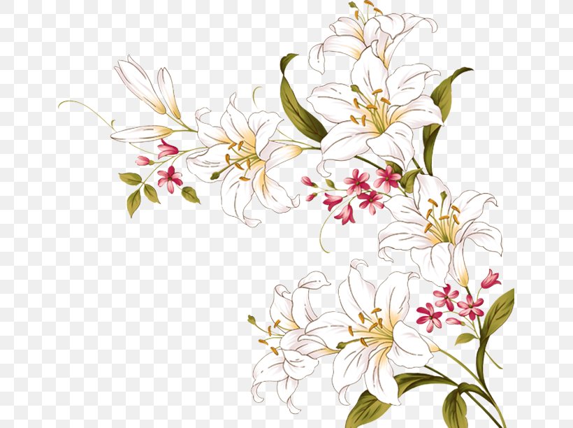Flower Lilium, PNG, 685x612px, Flower, Art, Blossom, Branch, Cherry Blossom Download Free