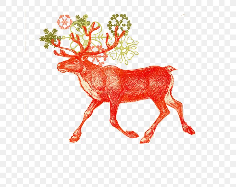 Santa Claus Reindeer Christmas Card, PNG, 650x650px, Santa Claus, Antler, Christmas, Christmas Card, Christmas Decoration Download Free