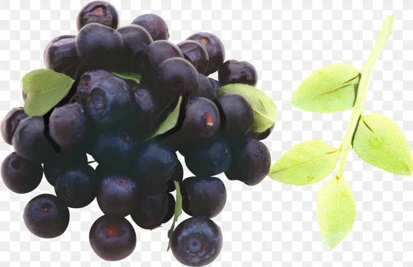 Grape Cartoon, PNG, 3443x2232px, Grape, Aristotelia, Berry, Bilberry, Blueberry Download Free