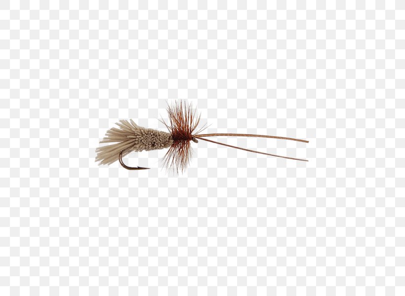 Insect Quill Brown, PNG, 450x600px, Insect, Brown, Invertebrate, Pest, Quill Download Free