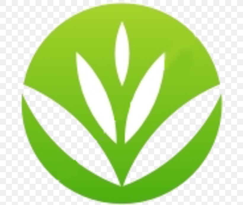 Leaf Clip Art Tree, PNG, 700x691px, Leaf, Grass, Green, Plant, Symbol Download Free