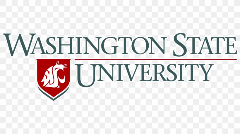 Voiland College Of Engineering And Architecture University Of Washington Master's Degree School, PNG, 920x515px, University Of Washington, Academic Degree, Area, Bachelor Of Science, Banner Download Free