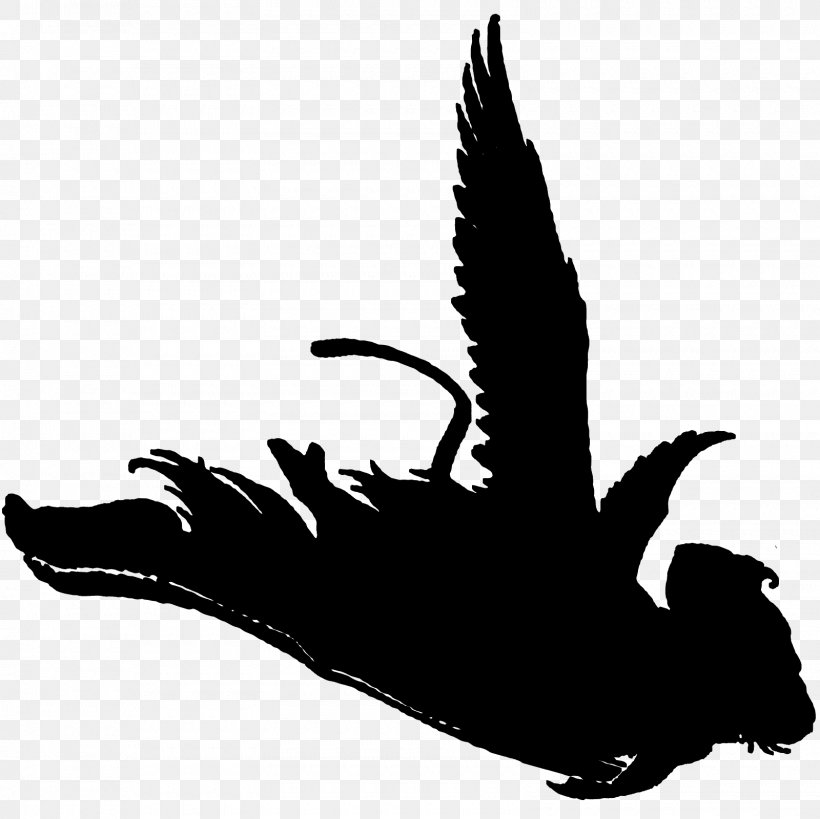 Beak Monkey Bird Silhouette, PNG, 1600x1600px, Beak, Anatidae, Bird, Bird Of Prey, Black And White Download Free