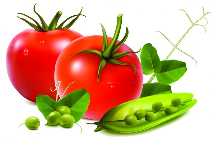 Fruit Salad Vegetable Tomato, PNG, 1010x667px, Fruit Salad, Bell Pepper, Bell Peppers And Chili Peppers, Chili Pepper, Cucumber Download Free