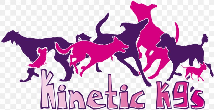 Kinetic K9s Ltd Horse Police Dog Afghan Hound Dog Breed, PNG, 1000x518px, Horse, Afghan Hound, Brand, Breed, Dog Download Free