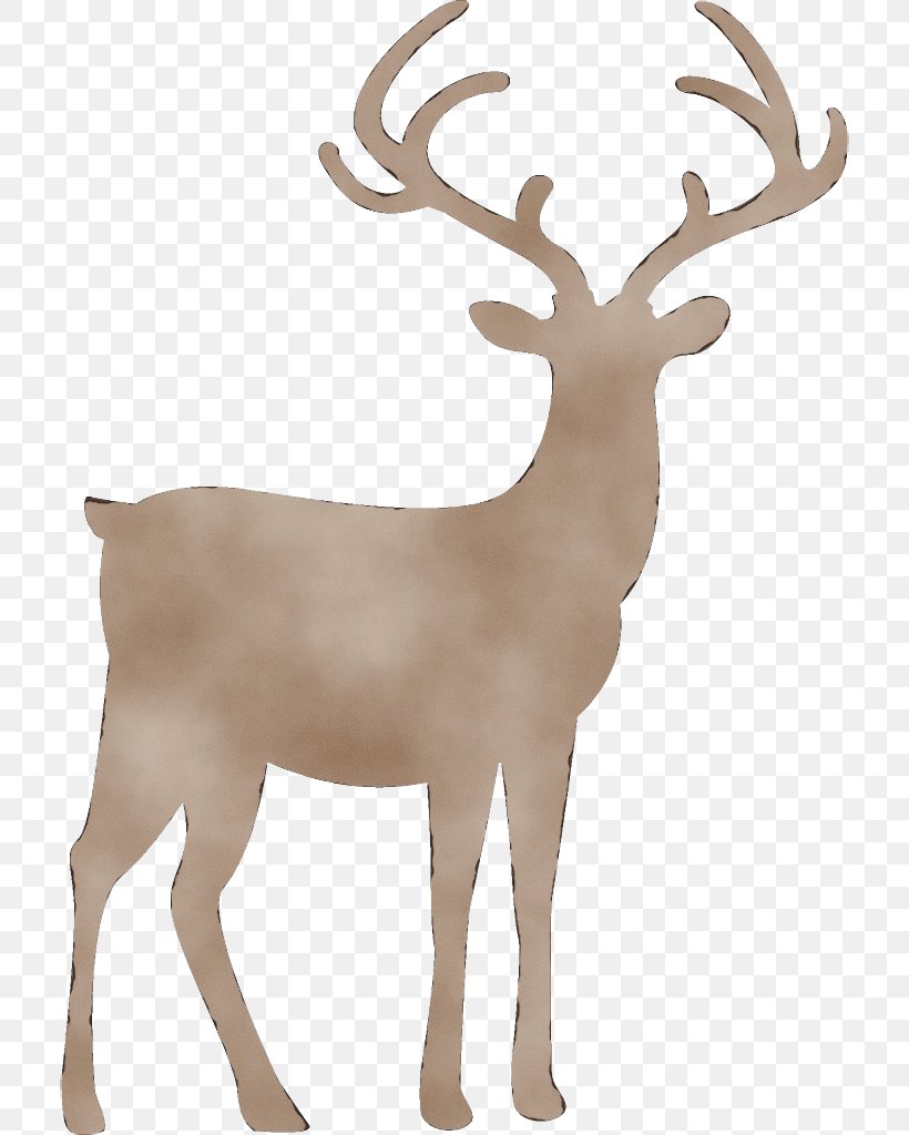 Reindeer, PNG, 712x1024px, Watercolor, Antelope, Antler, Deer, Elk Download Free