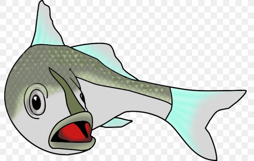 Saltwater Fish Drawing Clip Art, PNG, 837x531px, Fish, Animal Figure, Beak,  Cartilaginous Fish, Cartoon Download Free