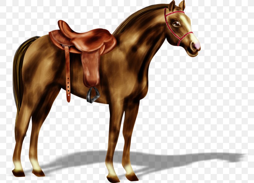 Standing Horse Saddle, PNG, 800x589px, Horse, Bit, Bridle, Colt, Foal Download Free