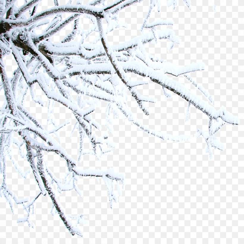 Twig Winter Daxue Clip Art, PNG, 1000x1000px, Twig, Animation, Area, Black And White, Branch Download Free