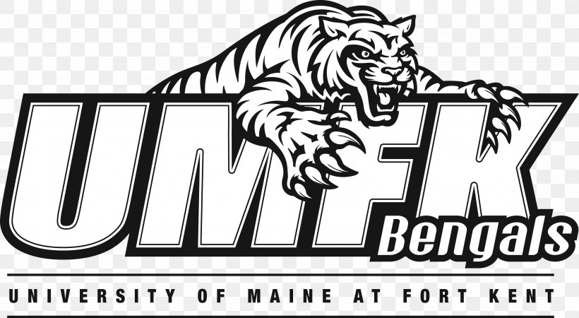 University Of Maine At Fort Kent Bengals Men's Basketball University Drive Logo, PNG, 3794x2086px, University Of Maine At Fort Kent, Area, Art, Big Cats, Black Download Free