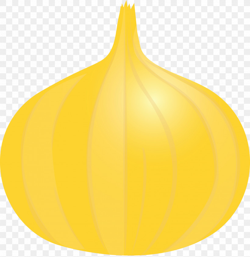 Leaf Squash Yellow Fruit Plant Structure, PNG, 2921x3000px, Onion, Biology, Fruit, Leaf, Paint Download Free