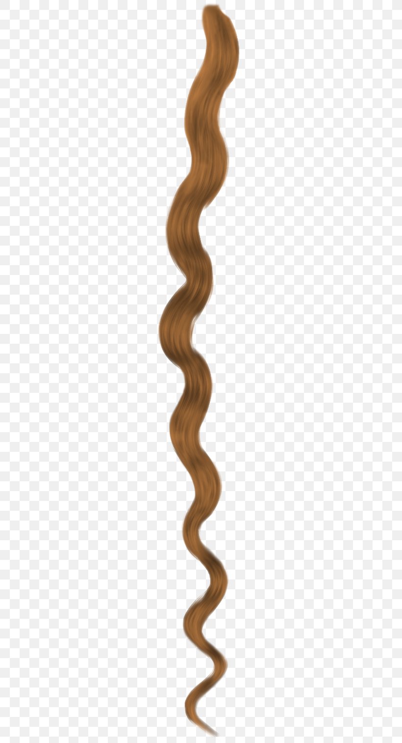 Lock Of Hair Braid Hairstyle Long Hair, PNG, 260x1513px, Hair, Black Hair, Braid, Capelli, Color Download Free