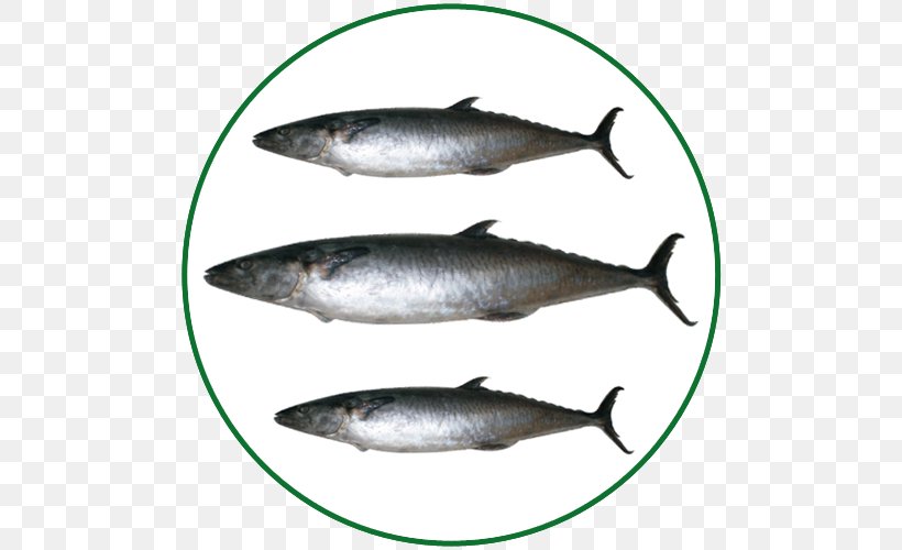 Sardine Pacific Saury Salmon Mackerel Fish Products, PNG, 500x500px, Sardine, Animal Source Foods, Bass, Bonito, Bony Fish Download Free