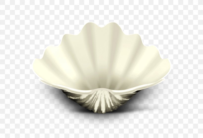 Tableware Seashell, PNG, 1173x799px, Tableware, Petal, Seashell Download Free