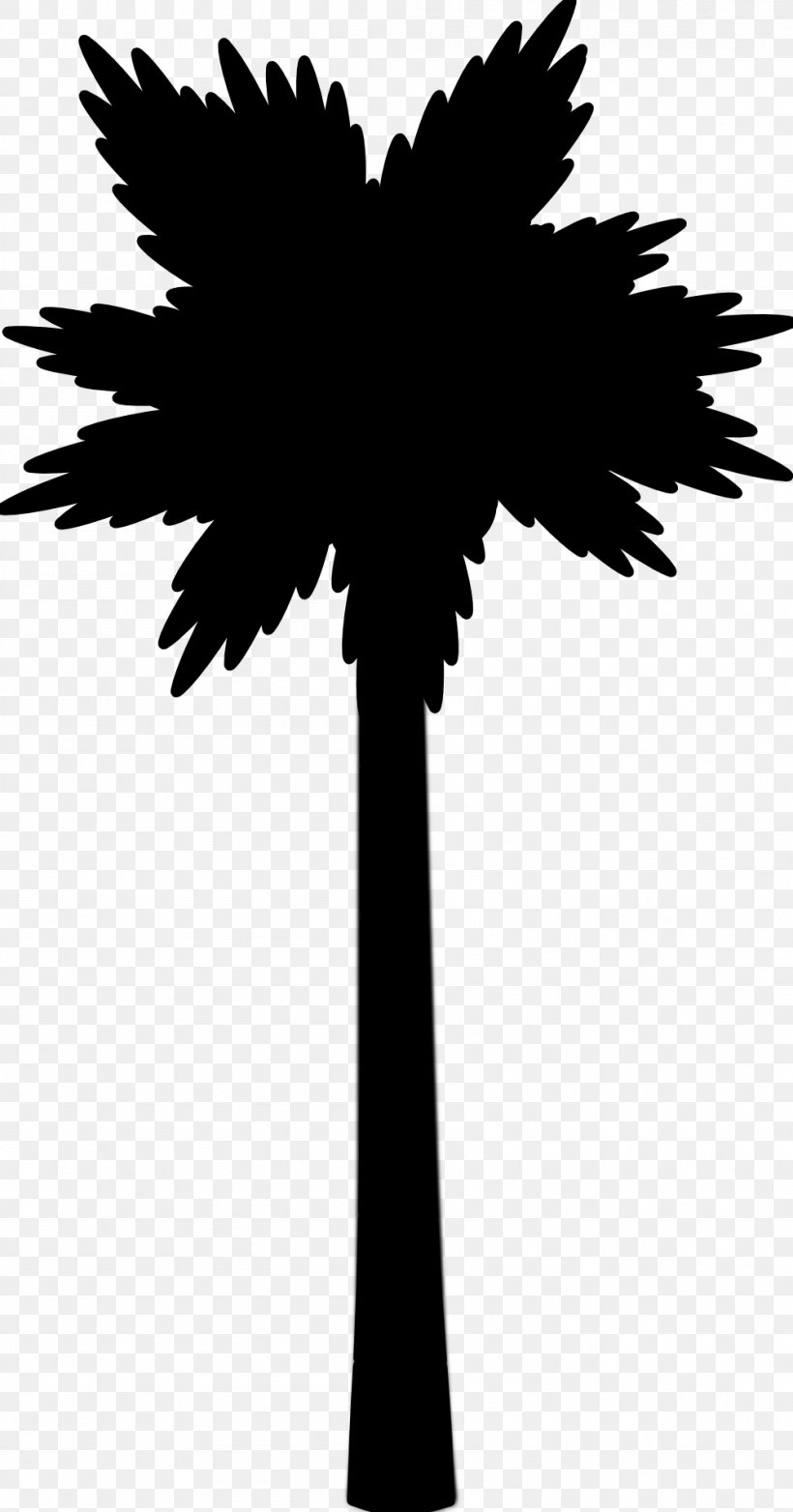 Clip Art Image, PNG, 999x1906px, Palm Trees, Arecales, Beach, Blackandwhite, Palm Tree Download Free