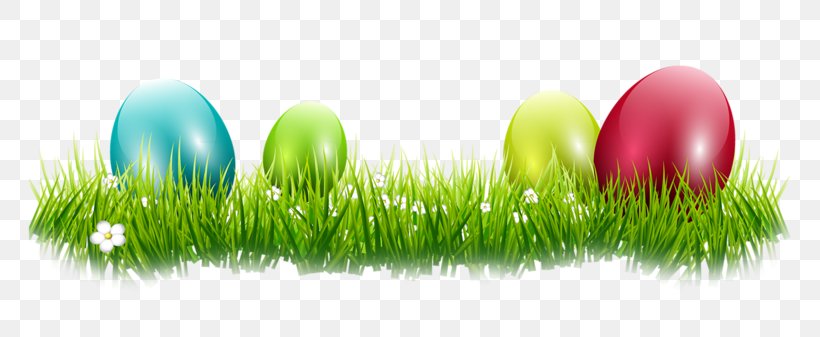 Easter Egg Desktop Wallpaper, PNG, 800x337px, Easter Egg, Computer, Easter, Egg, Grass Download Free