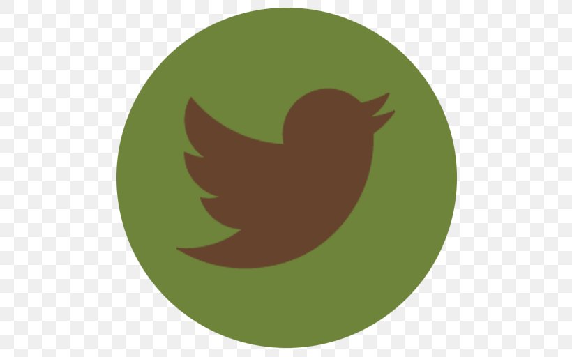 Social Media Marketing Allied Systems & Controls Inc Society Graham Creek Nature Preserve, PNG, 512x512px, Social Media, Beak, Bird, Business, Grass Download Free