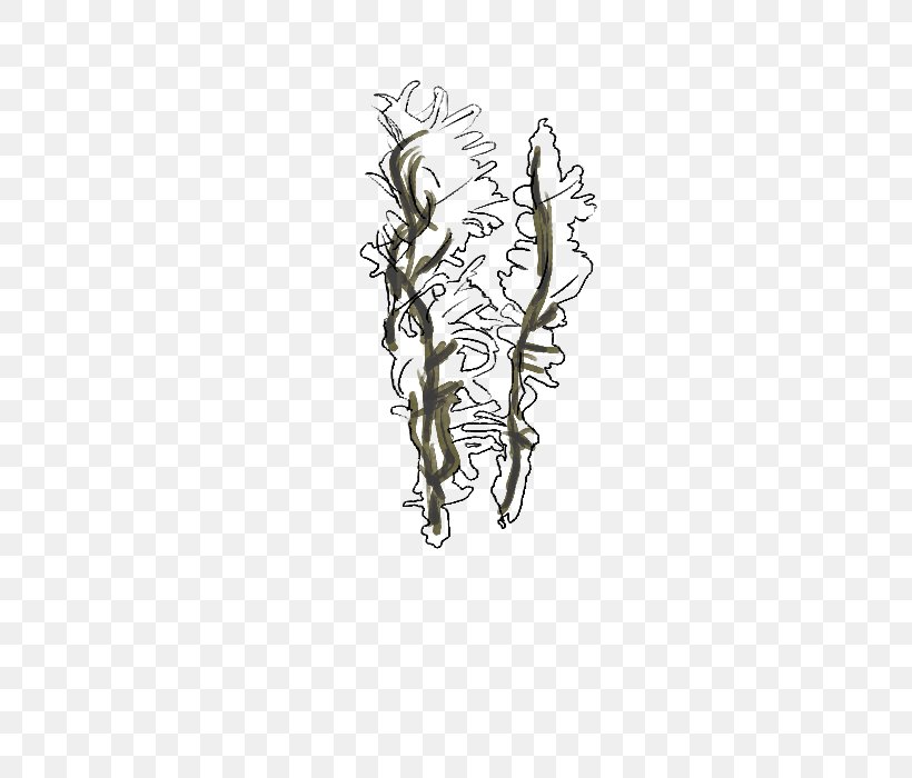 Galicia Flora Body Jewellery Marca Culture, PNG, 500x700px, Galicia, Algae, Body Jewellery, Body Jewelry, Branch Download Free
