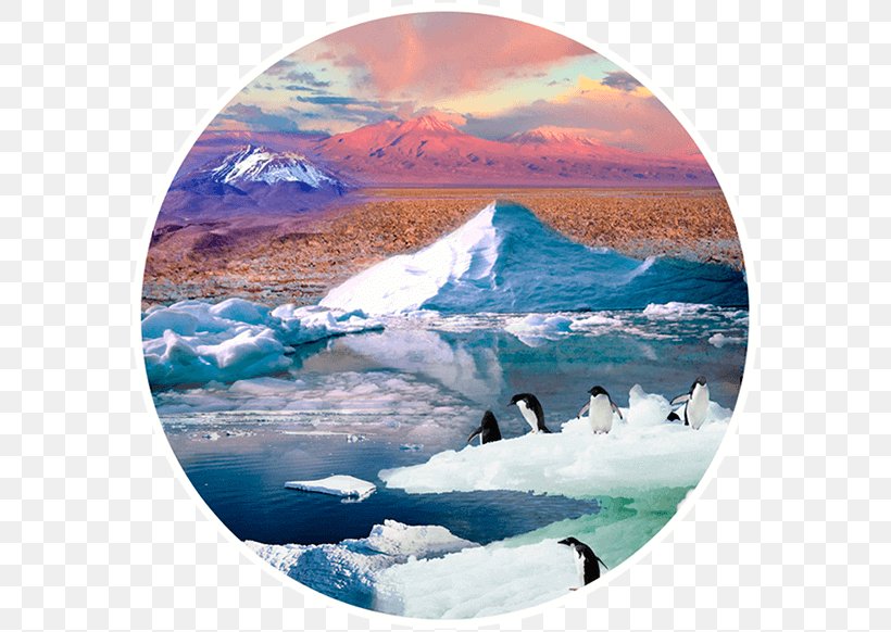 Arctic Polar Ice Cap Polar Regions Of Earth Glacier Sea Ice, PNG, 580x582px, Arctic, Arctic Ocean, Climate Change, Geological Phenomenon, Glacial Landform Download Free