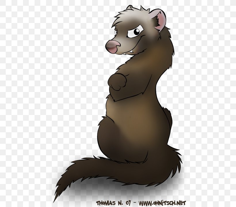 Ferret Animated Cartoon Drawing, PNG, 480x720px, Ferret, Animated Cartoon, Animation, Bear, Canidae Download Free