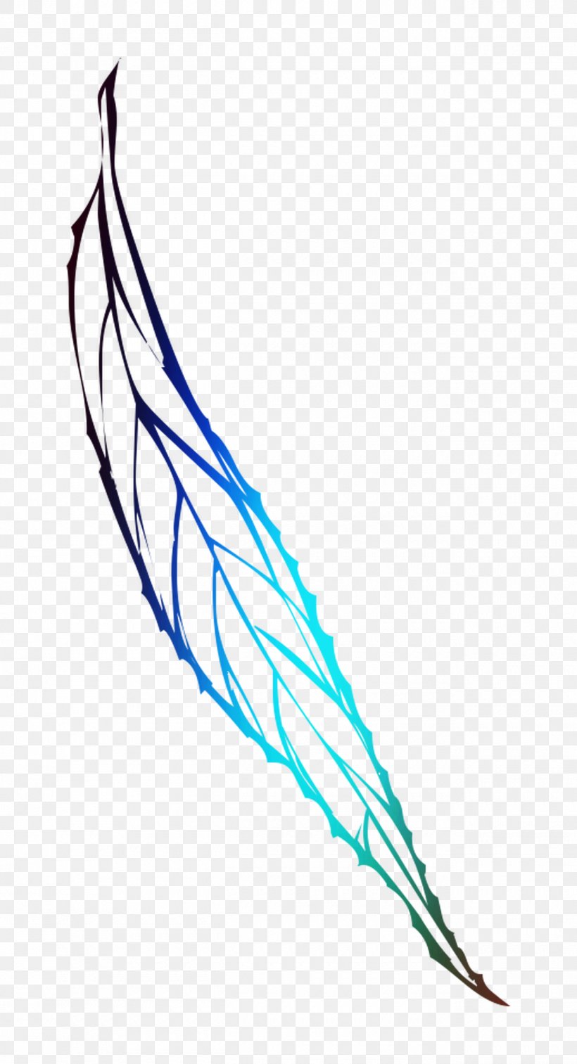 Line Point Clip Art Feather, PNG, 1300x2400px, Point, Feather, Quill Download Free