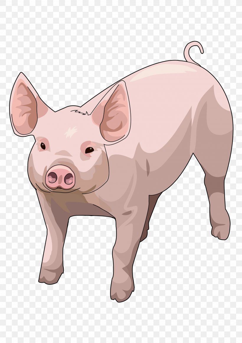 Miniature Pig Drawing Image, PNG, 2480x3508px, Pig, Cattle Like Mammal, Domestic Pig, Drawing, Education Download Free