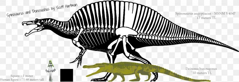 Spinosaurus Shantungosaurus Carcharodontosaurus Tyrannosaurus Deinosuchus, PNG, 1872x646px, Spinosaurus, Acrocanthosaurus, Animal Figure, Ankylosaurus, Black And White Download Free