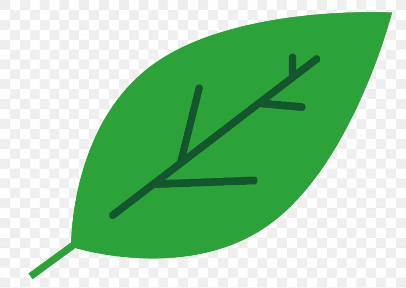 Angle Line Leaf Graphics Product Design, PNG, 1004x712px, Leaf, Grass, Green, Plant Download Free