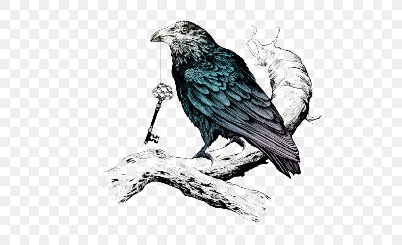 Crow Family Common Raven Tattoo Raven's Key, PNG, 500x500px, Crow, American Crow, Beak, Bird, Bird Of Prey Download Free