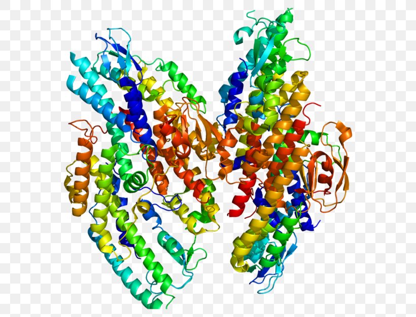 GINS1 GeneCards Ensembl GINS Complex Subunit 1 (Psf1 Homolog), PNG, 600x626px, Genecards, Antibody, Art, Bead, Body Jewelry Download Free