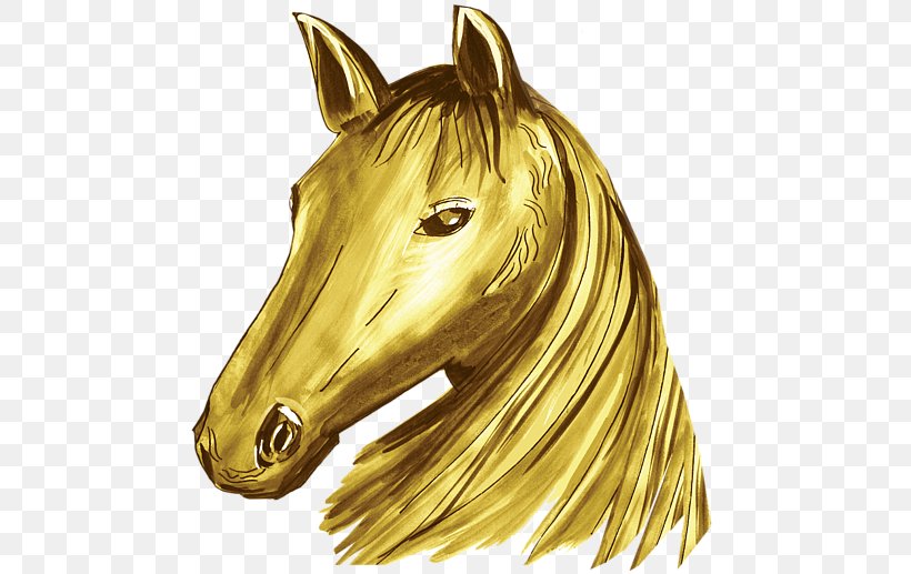 Mustang Mane Pony Halter 01504, PNG, 600x517px, Mustang, Brass, Halter, Head, Horse Download Free